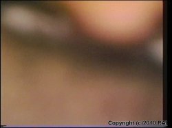 'Affirmative Action 5' screenshot nº 57