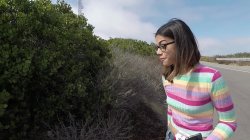 Captura de 'Teeny Tiny Little Star Vol. 4' nº 8