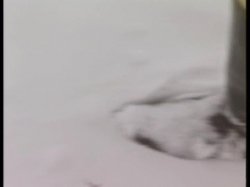 'Redheads on Fire' screenshot nº 21