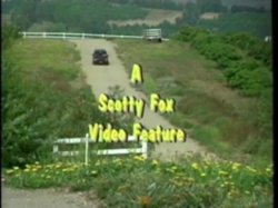 'Titty Slickers' screenshot nº 1