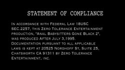 Captura de 'Anal Babysitters Gone Black' nº 1