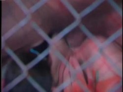 'Deep Inside Sindee Coxx' screenshot nº 115