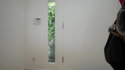 'Amateurs Wanted Vol. 12' screenshot nº 81