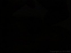 'Up and Cummers 72' screenshot nº 39