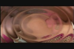 Captura de 'Bomb Ass White Booty 7' nº 111