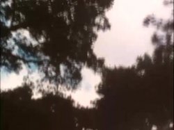 'Expose Me Now' screenshot nº 102