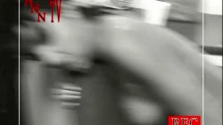 Captura de 'Bud Lee's 69-XXX' nº 83