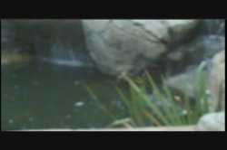Captura de 'Behind The Scenes Vol. 2' nº 29
