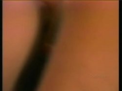 Captura de 'Cecil Howard's Babylon Pink 2 (French)' nº 75