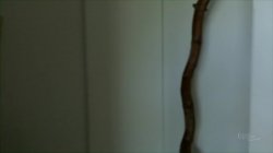 Captura de 'Cheer Girls' nº 46