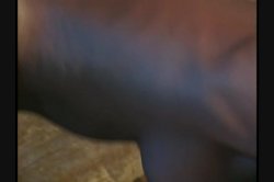 Captura de 'Madam's New Maid' nº 43