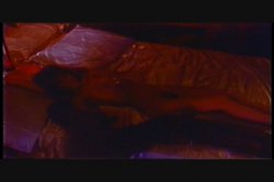 Captura de 'Fascination' nº 41