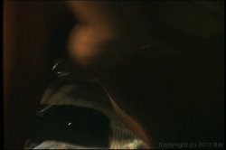 'Amateur Angels 5' screenshot nº 113
