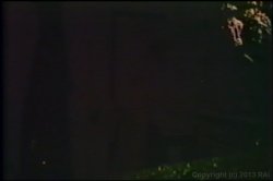 'Kay Parker Triple Feature' screenshot nº 111