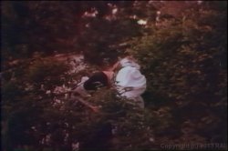 'Kay Parker Triple Feature' screenshot nº 13