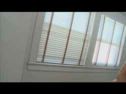 'Anal Champions Of The World 2' screenshot nº 104