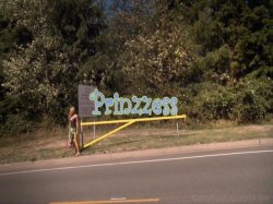 'Bus Stops Episode 3' screenshot nº 4