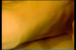 Captura de 'Honey Wilder Triple Feature 6' nº 128