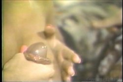 Captura de 'Honey Wilder Triple Feature 6' nº 27