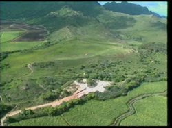 'Hawaii Vice' screenshot nº 37