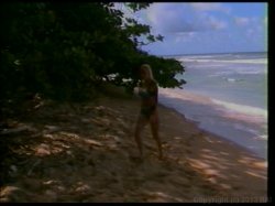 'Hawaii Vice' screenshot nº 51