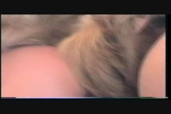 Captura de 'Victoria Belle's 3 Day LA Orgy' nº 45