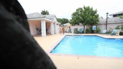 'Miami Milfs 4' screenshot nº 69