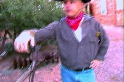 Captura de 'Big Butt Cowgirls Of Las Vegas' nº 4