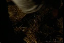 Captura de 'Homey in the Haystack' nº 55