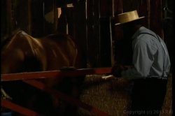 Captura de 'Homey in the Haystack' nº 56