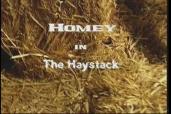 Captura de 'Homey in the Haystack' nº 1