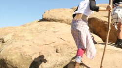 'Untamed (DVD + Digital 4K)' screenshot nº 47