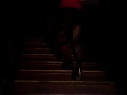 'Candida Royalle's Femme' screenshot nº 2