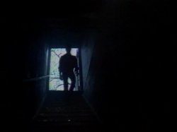 'Candida Royalle's Femme' screenshot nº 3