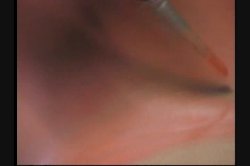 Captura de 'Fan Fuxxx 3' nº 50