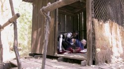 'Pussy N Boots #2' screenshot nº 40
