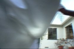 Captura de 'Big Phat Wet Ass Orgy 2' nº 24