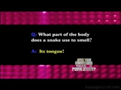Captura de 'Are You Smarter Than A Porn Star?' nº 7