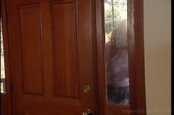 'Hollywood Hookers' screenshot nº 6