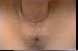 'Hollywood Hookers' screenshot nº 106