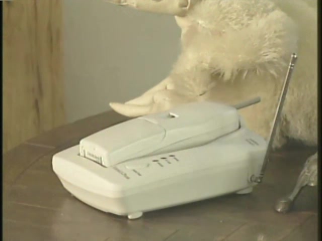 streaming porn video screenshot