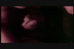 'That's Outrageous' screenshot nº 62