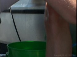 'Mom Likes to Hoe' screenshot nº 75