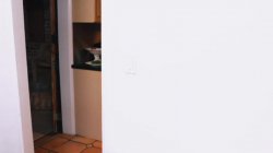 'Filthy Family 2' screenshot nº 122