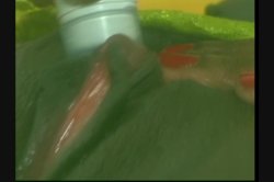 'Big Clits Big Lips 4' screenshot nº 70