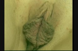 'Big Clits Big Lips 4' screenshot nº 118