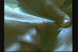 'Big Clits Big Lips 4' screenshot nº 21