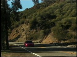 'In Search of Awesome Pussy' screenshot nº 35