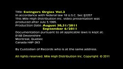 Captura de 'Swingers Orgies 2' nº 2