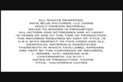 Captura de 'California Cuties' nº 1